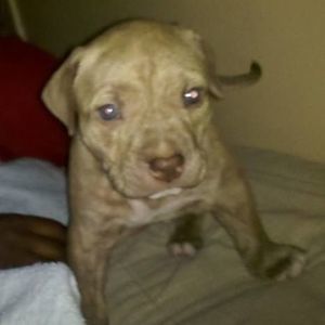 Meet your Posher, Kenton